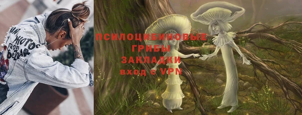 молекула духа Каменногорск