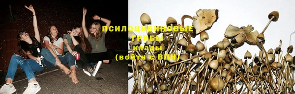 МДМА Каменка