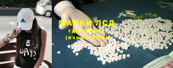 молекула духа Каменногорск