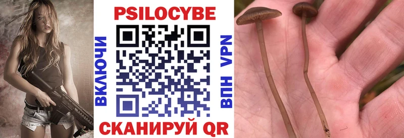 Галлюциногенные грибы Psilocybine cubensis  Купить где  Богучар 
